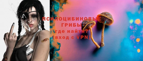 дмт Сосновый Бор
