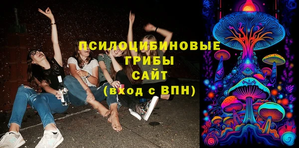 крисы Сосновка