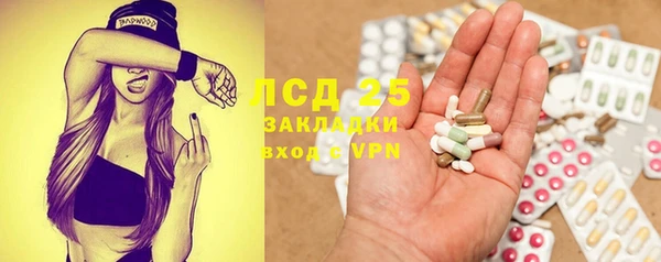 прущие грибы Сосновоборск