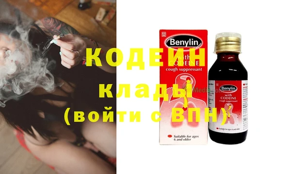 прущие грибы Сосновоборск