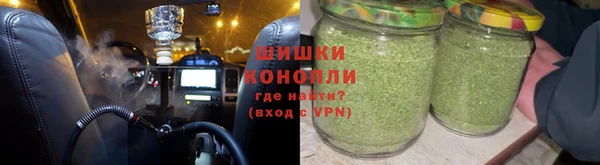 крисы Сосновка