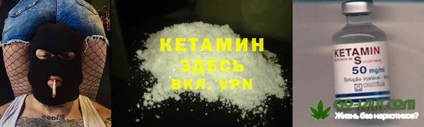 крисы Сосновка