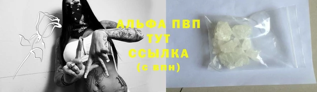 прущие грибы Сосновоборск