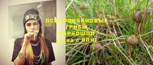 крисы Сосновка