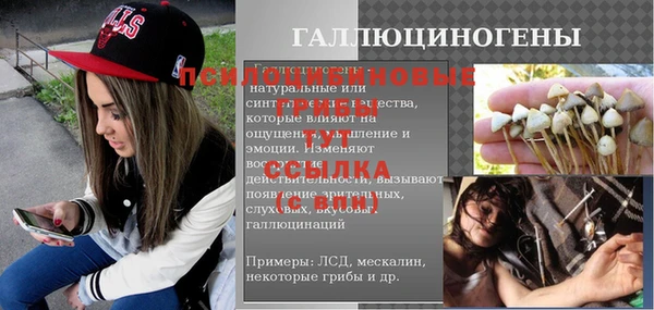 прущие грибы Сосновоборск