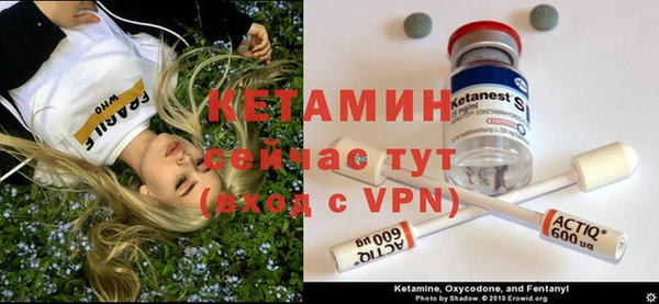 прущие грибы Сосновоборск