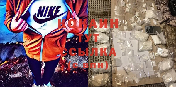крисы Сосновка