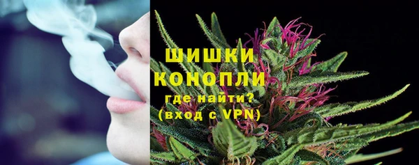 прущие грибы Сосновоборск