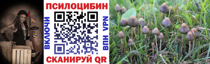 Псилоцибиновые грибы MAGIC MUSHROOMS Трёхгорный